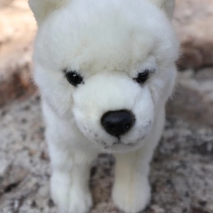 Güzel özelleştirilmiş yumuşak ayakta japon <span class=keywords><strong>Shiba</strong></span> Inu peluş oyuncak gerçekçi beyaz köpekler dolması - Product Image 6