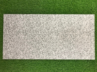 Dalles de sol en pierre pour cour et jardin, finition brute, antidérapantes, pour extérieur, 300*600 MM, dalles d'escalier extérieures
