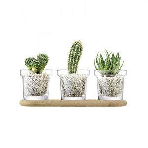 최고의 품질 선인장 큰 꽃 유리 봉오리 꽃병 앰버 브라운 - Product Image 1