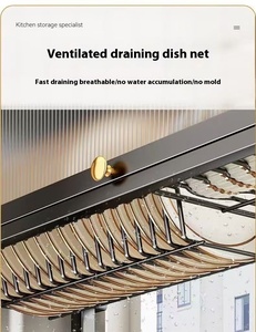 Moderno Portaoggetti da Cucina a Due Livelli in Metallo Multifunzionale con Design per Drenaggio Acqua e Ante Laccate per Stoviglie e Ciotole - Product Image 5