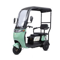 Paige Tricycle électrique camping-car tricycle motorisé réfrigéré voiture roadster 3 roues ebike vélo atv utilisé pour la vente de marchandises réfrigérées