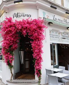 YOPIN-456ปลอมสำหรับงานแต่งงานดอกเฟื่องฟ้าทำจากผ้าไหม - Product Image 3