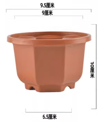 Marrón 9,5 cm