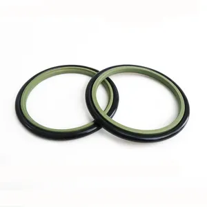 Hydraulik dichtung HBT Style PTFE und FKM NBR O Ring für Kolben und Stange