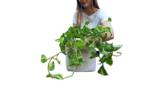 ตะกร้าสานสำหรับใส่ของในบ้านตะกร้าหนังแบบพับได้พับได้ขนาดใหญ่ - Product Image 6