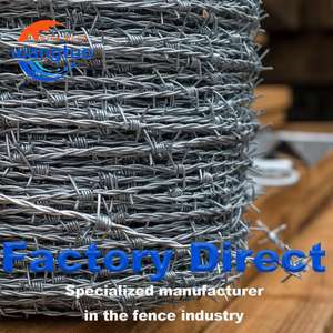 <span class=keywords><strong>Fil</strong></span> <span class=keywords><strong>de</strong></span> <span class=keywords><strong>fer</strong></span> <span class=keywords><strong>barbelé</strong></span> en acier inoxydable galvanisé en usine, <span class=keywords><strong>fil</strong></span> <span class=keywords><strong>de</strong></span> <span class=keywords><strong>fer</strong></span> <span class=keywords><strong>barbelé</strong></span> en PVC - Product Image 4