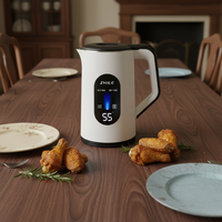 Bouilloire Électrique Automatique à Arrêt Automatique de Haute Qualité, Personnalisable en Usine, Vente Chaude