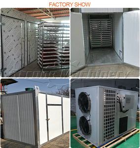 เครื่องอบแห้งผลไม้อุตสาหกรรมพลังงานแสงอาทิตย์ - Product Image 3