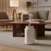 Vente en gros TX500 400ml diffuseur d'huiles essentielles électrique sans eau pour arrêt automatique voiture usage domestique