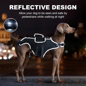 Wan Talk Moderner Komfortabler Tauchstoff-Brustgurt für Ältere und Kleine/Mittelgroße Hunde Lindert Hüftschmerzen - Product Image 4