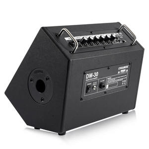 Amplificador de 30W de Acero Inoxidable con Woofer de 8 Pulgadas para Saxofón, Piano y Batería Electrónica - Product Image 2