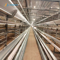 OEM personnalisé H Type de couche Cage pour poulets Cage pour batterie de couche