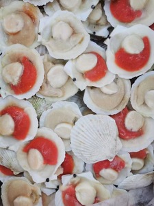 Đông lạnh nửa vỏ sò điệp biển với roe trên - Product Image 4