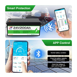 Tùy chỉnh 24V 100Ah LiFePO4 pin 24V 100AH 200AH 300ah pin lithium 24V 100Ah 6000 chu kỳ Caravan và du thuyền Pin - Product Image 2