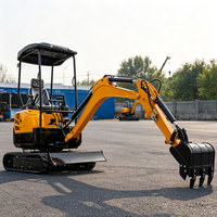 Pompe hydraulique puissante de 2 tonnes pour mini-excavatrice, idéale pour les petits travaux de terrassement et les projets de terrassement paysager.