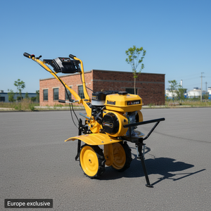 Motor de gasolina de 7HP TL1WG3.8-50FQ Euro V con certificación CE, 900-1050mm de ancho, alto torque para preparación de suelo en huertos de olivas, España. - Product Image 1