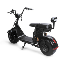 Scooter électrique puissant de 1500 W, 60 V, 12 Ah, double siège, pneus larges, moto électrique pour adultes
