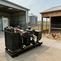 Groupe électrogène diesel 180 kW 225 kVA de type ouvert alimenté par Cummins avec AVR triphasé pour usine et ferme avicole