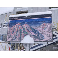 Panneau géant numérique de 8,8 pouces pour l'extérieur, affichage fixe, cms, mur vidéo, Ph6, pour publicité, Hd P6, grand écran Led