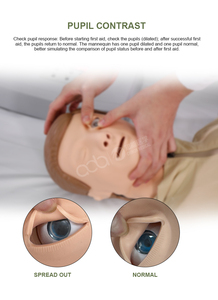 หุ่นจำลองฝึกปฐมพยาบาลมืออาชีพ รุ่น BIX/CPR230 แบบอิเล็กทรอนิกส์ครึ่งตัว พร้อมระบบตอบสนองแบบเรียลไทม์ สำหรับนักศึกษาพยาบาล - Product Image 2