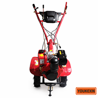 Cultivador a Gasolina de Accionamiento Directo Más Vendido, con Repuestos Gratuitos, Motor 160F 168F de 7HP 9HP para Granja de Café, Proveedor Verificado