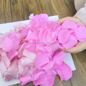 Pétalos de Rosa Preservados, Confeti para Bodas, Pétalos Grandes Rojos, Blancos, Azules y Rosas, Cesta para Niña de las Flores, Flores Secas, Decoraciones Navideñas - Product Image 4
