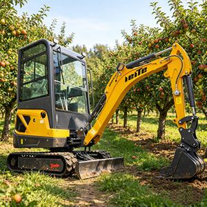 Mini-excavatrice de 1,8 tonne avec cabine, moteur d'origine EPA CE ISO, petite pelle de 1,8t pour la ferme, le jardin et la construction - Product Image 4