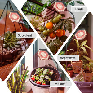 La puce LED Cob réglable professionnelle BSEAH élève le spectre lumineux et la minuterie pour toutes les étapes de croissance des tomates <span class=keywords><strong>Basilic</strong></span> & Bloom - Product Image 6