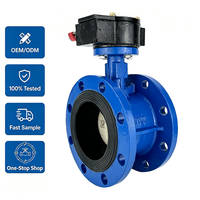 Vanne papillon à double bride en fonte ductile sur mesure PN16 avec sièges EPDM NBR pour conduites d'égouts et de process