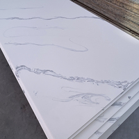 Pierre acrylique artificielle de 8mm, résine rétro-éclairée, panneau mural de surface solide translucide pour décoration murale d'hôtel