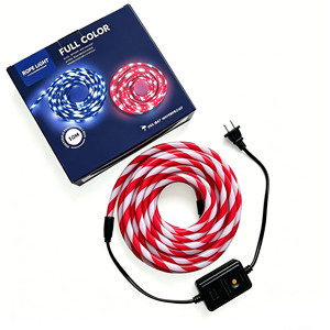 ไฟ LED แถบสี 6 สี รุ่น 2835 แบบเสียบใช้งานได้ทันที ความยาว 10 เมตร RGB นีออนเทป IP65 IP67 สำหรับตกแต่งงานปาร์ตี้คริสต์มาส - Product Image 1