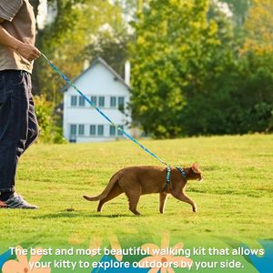 And Leash <b>Set</b> - Escape Proof Adjustable Cat Harness, Comfortable Soft Lightweight, Use Safe & Easy, Walking Travel Kitten - Product Image 2