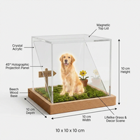Boîte commémorative numérique holographique moderne en plastique pour animaux de compagnie, pour chats et chiens, avec projection 3D en acrylique, pour condoléances en cas de perte - Vente en gros