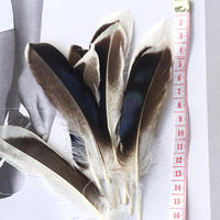 Masque en Plumes de Canard Naturelles Teintes de Haute Qualité, Douces, de 4 à 6 Pouces, avec Châle de Poignet et Ailes pour Spectacles de Danse et Fêtes de Carnaval