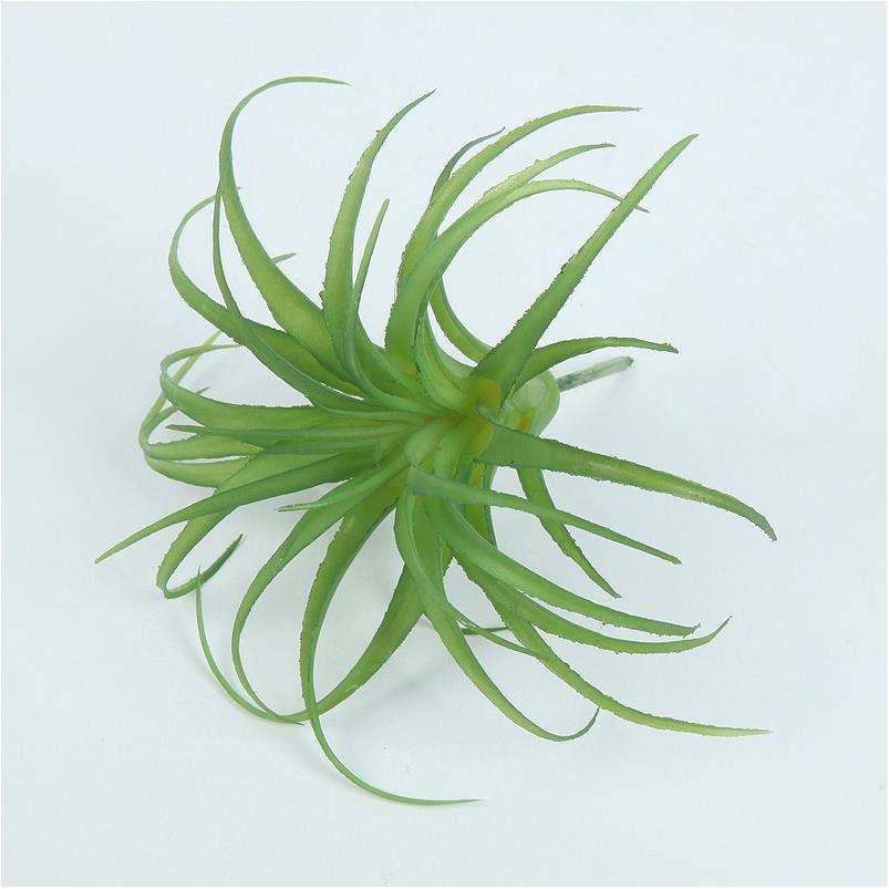 Large green and white