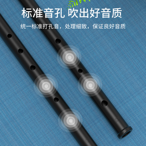 DBAOアイリッシュホイッスルビギナーのABSフルート6穴CおよびDハイトーンメタルレコーダークラリネット - Product Image 3