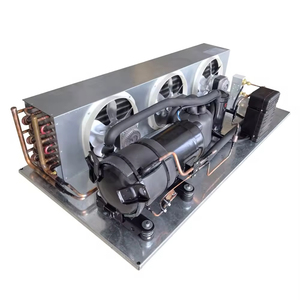 وحدة تبريد وتكثيف عالية الجودة معدات تبريد لمبرد المشي - Product Image 3