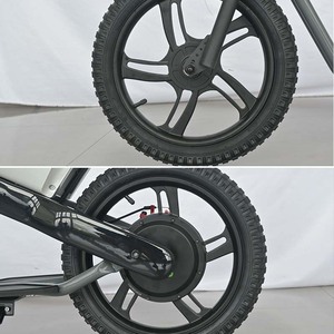 Xe đạp điện trẻ em không cần đạp 200W 21 inch 16 inch, xe thăng bằng điện cho trẻ em, xe thăng bằng điện hai chỗ ngồi - Product Image 5