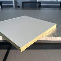 Panneau en mousse phénolique modifiée en acier coloré double face pour conduits CVC, conception OEM et sur mesure disponible avec support technique