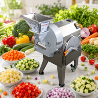 Hoge snelheid commerciële elektrische groente snijmachine voor appels, wortelen, aardappelen, uien, korrels, plakjes en blokjes.