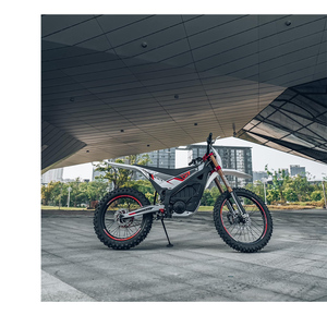 SNOR New <span class=keywords><strong>Arctic</strong></span> Leopard EX800700 Puissance extrêmement forte 25KW Nouveau design CHEETAH Snow Leopard Vélos électriques tout-terrain Dirt Bike - Product Image 5