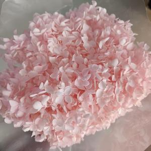 Hortensias Preservadas <span class=keywords><strong>de</strong></span> 60 cm, Hortensias Eternas Anna para Decoración del Hogar, Restaurante, <span class=keywords><strong>Arreglos</strong></span> Florales para Bodas y Día <span class=keywords><strong>de</strong></span> San Valentín - Product Image 4