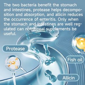 อาหารปลาเม็ดจมน้ำ ยี่ห้อ YEE สำหรับ<span class=keywords><strong>ปลา</strong></span>คาร์<span class=keywords><strong>ฟ</strong></span> <span class=keywords><strong>ปลา</strong></span>คาร์<span class=keywords><strong>ฟ</strong></span>บัตเตอร์<span class=keywords><strong>ฟ</strong></span>ลาย โปรตีนสูง ช่วยเพิ่มสีสันและส่งเสริมการเจริญเติบโต สำหรับ<span class=keywords><strong>ปลา</strong></span>ในตู้ปลา - Product Image 3