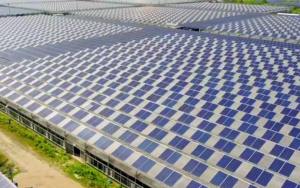 <span class=keywords><strong>CABOSIL</strong></span> Polvo ligero y esponjoso de sílice pirógena sin tratar, utilizado en muchas aplicaciones y una variedad de industrias, por el que se puede usar el polvo de sílice pirógena sin tratar. - Product Image 6