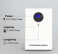 Sistema de Almacenamiento de Energía SHENGLI, Híbrido, 10-15kW, Batería de Litio LiFePO4, UPS Solar para el Hogar, Montaje en Pared, Almacenamiento de Batería CAN