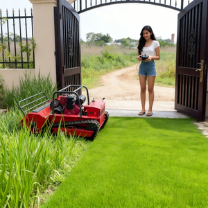 Cortadora de Césped de 80cm 100cm 120cm con Motor Diésel Potente para Uso Doméstico y de Jardín, Cortadora de Césped con Control Remoto - Product Image 6