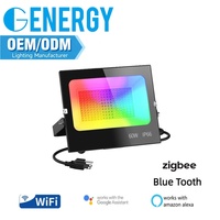 Projecteur LED extérieur intelligent RGB 60W 80W 100W IP66 étanche, contrôle IR RF WiFi par application, éclairage paysager de jardin à changement de couleur