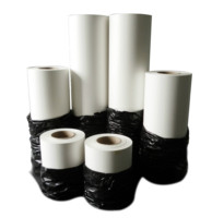 Papier de sublimation instantané 100g, 24 pouces * 30m, noyau de 2 pouces, rouleau de papier de sublimation pour EP F500 F570, pour application textile