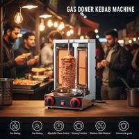 Machine à kebab au gaz en acier inoxydable, machine à shawarma de comptoir GPL/GN, prix avantageux