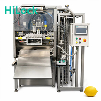 Machine de remplissage automatique économe en énergie pour jus de fruits, sauces, confitures, en bouteilles et sachets en plastique ou en verre, pour jus et purées